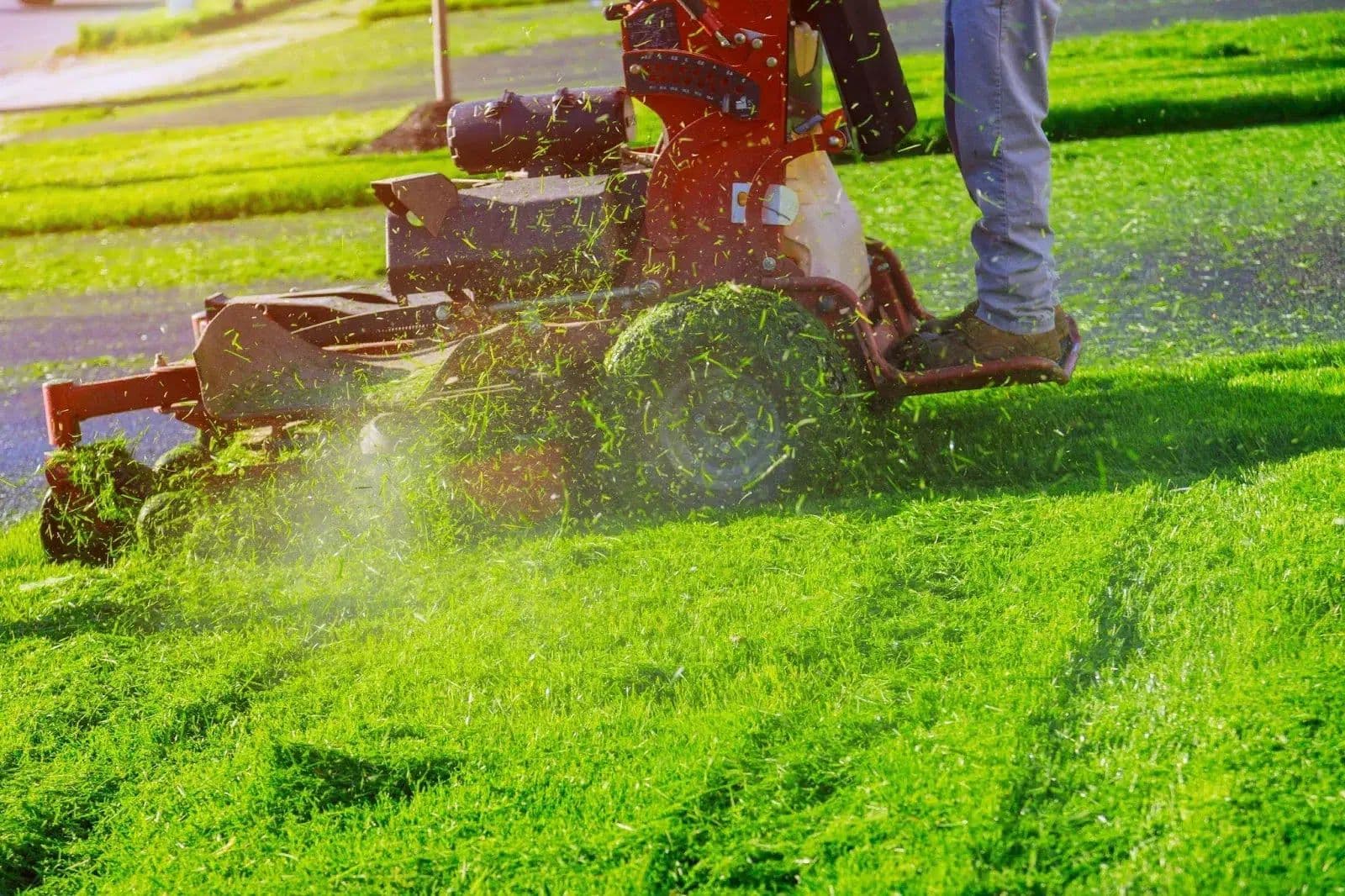 Residential and commercial lawn care